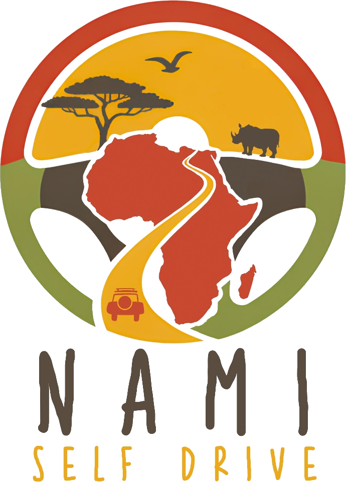 NAMI Self Drive
