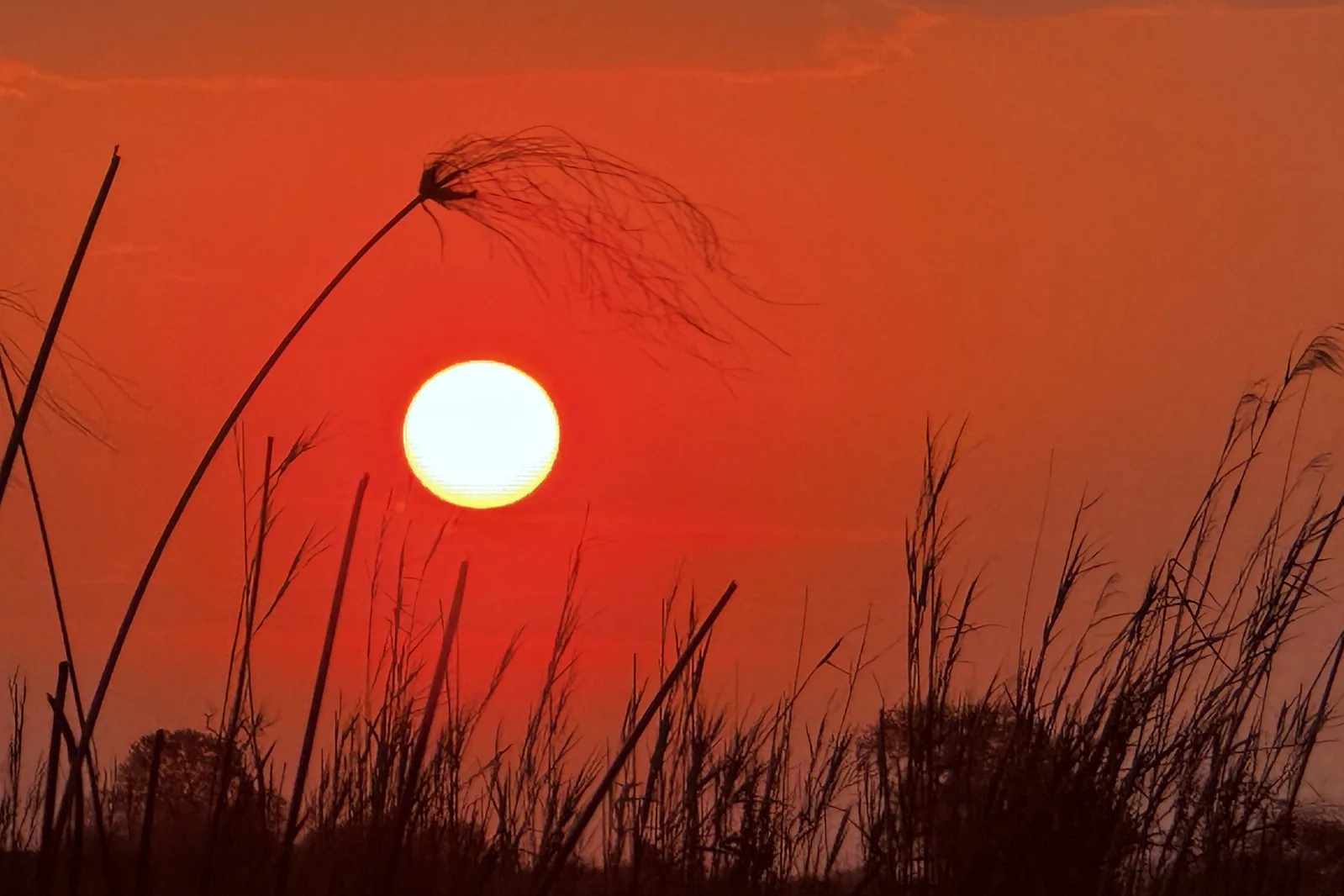 Cucina da campo organizzata accanto al veicolo in Namibia