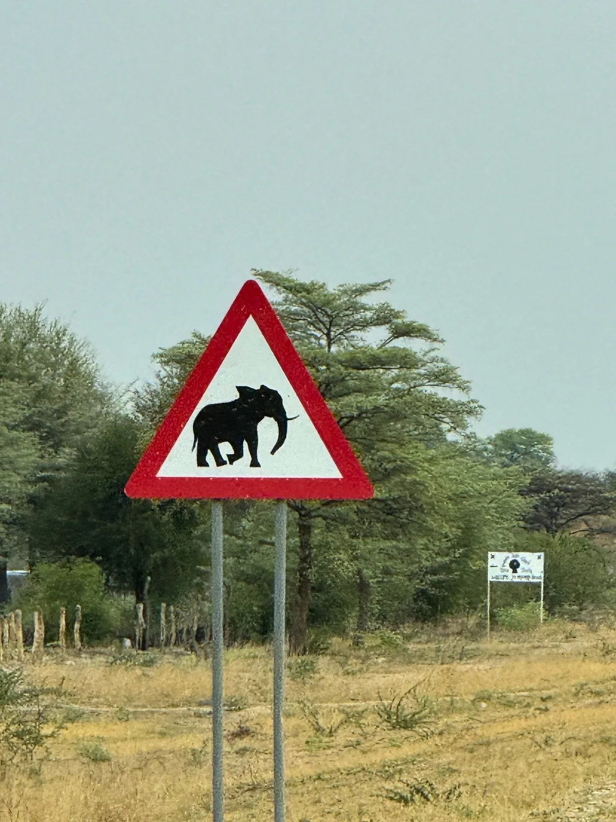 Strada sterrata namibiana che si perde nell’orizzonte